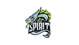 Team-Spirit