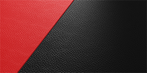 Black & Red GM23
