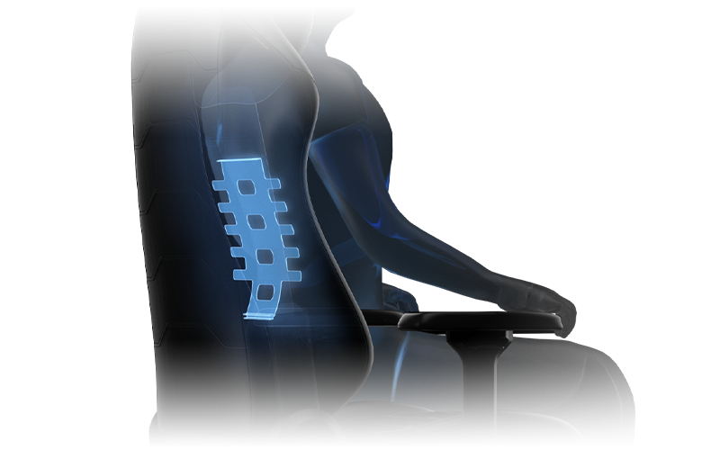4D Ergonomic Lumbar Support