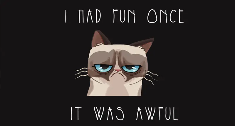  Grumpy Cat