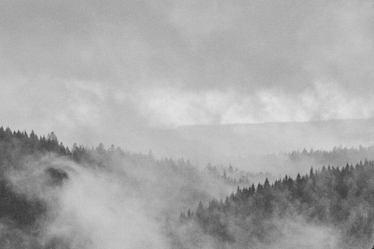 כיסא גיימינג אפור