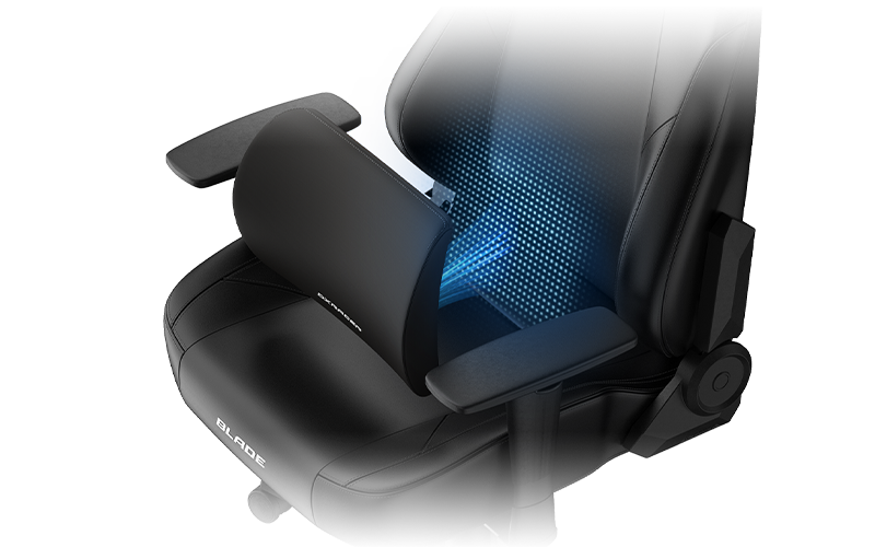 Magnetic Lumbar Support