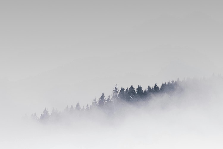 כיסא גיימינג לבן