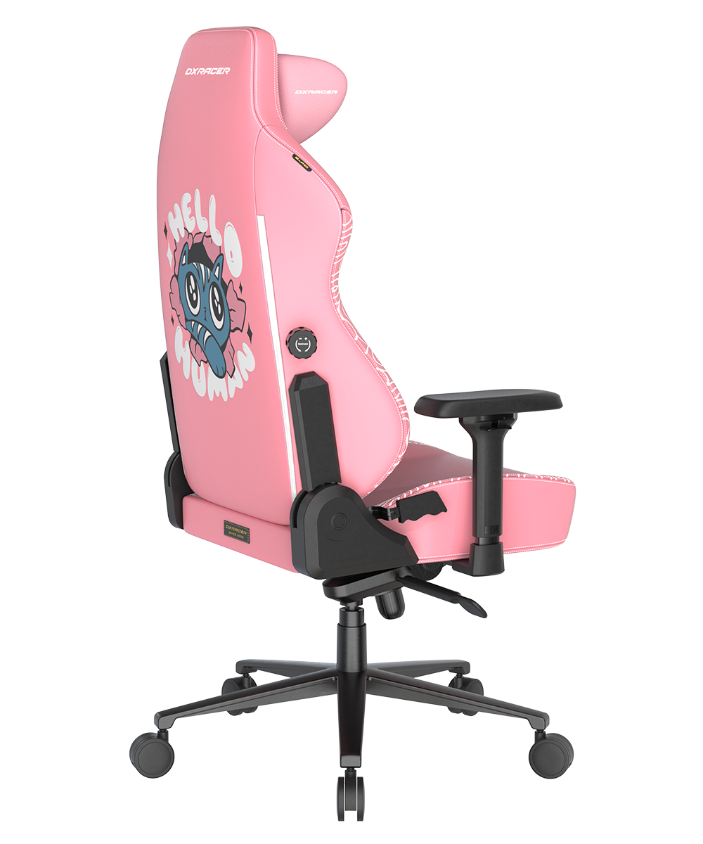 Dxracer-5