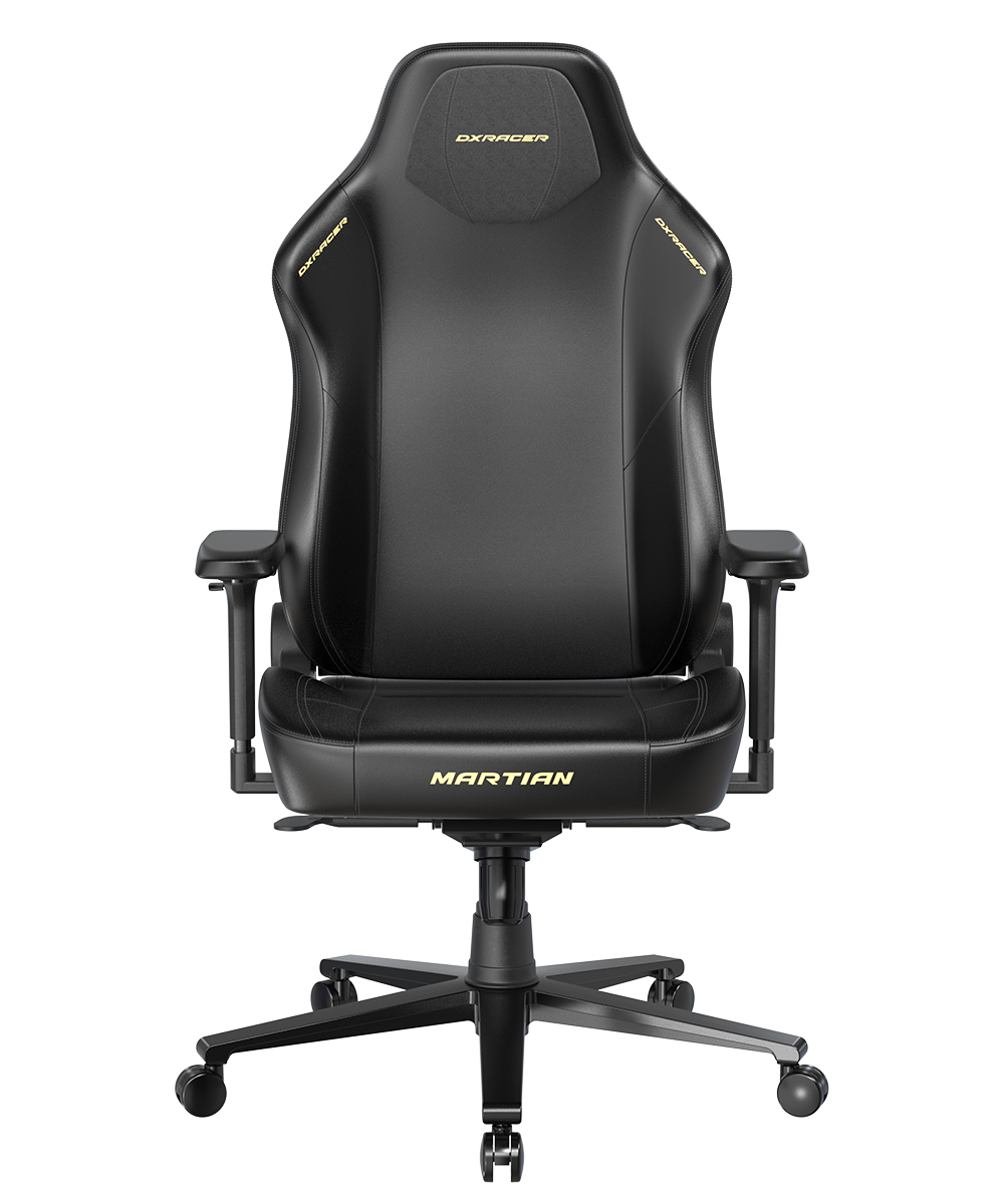 Dxracer-1